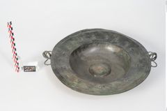 Foto von Bronzebreitrandschale (NHMW-PRAE-024476)